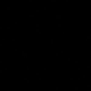 Meet your Posher, Kira